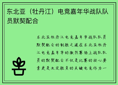 东北亚（牡丹江）电竞嘉年华战队队员默契配合