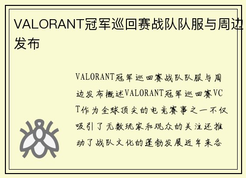 VALORANT冠军巡回赛战队队服与周边发布