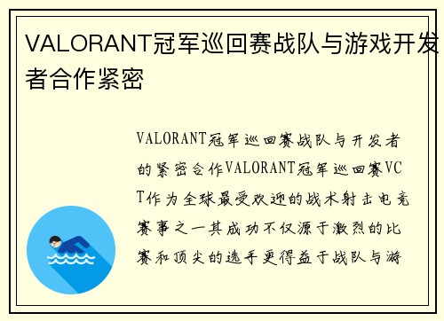 VALORANT冠军巡回赛战队与游戏开发者合作紧密