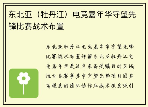 东北亚（牡丹江）电竞嘉年华守望先锋比赛战术布置